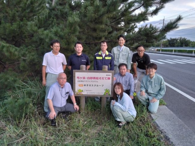 白砂清松アダプト1