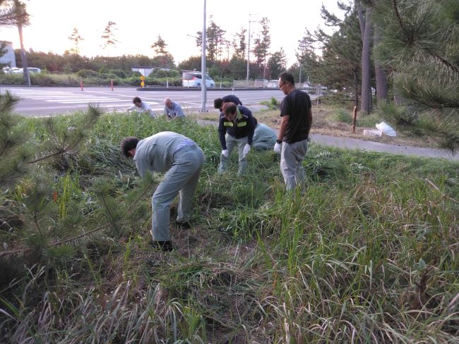 白砂清松アダプト2